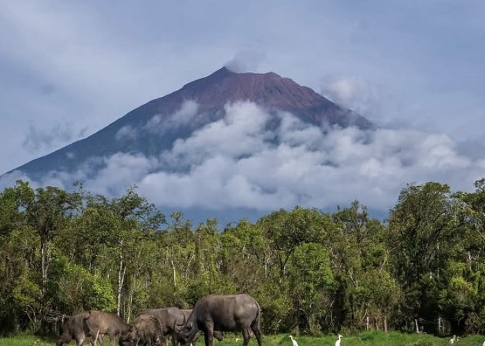Jalur Pendakian Gunung Kerinci Dibuka Kembali, Ini Syarat yang Wajib Dipatuhi