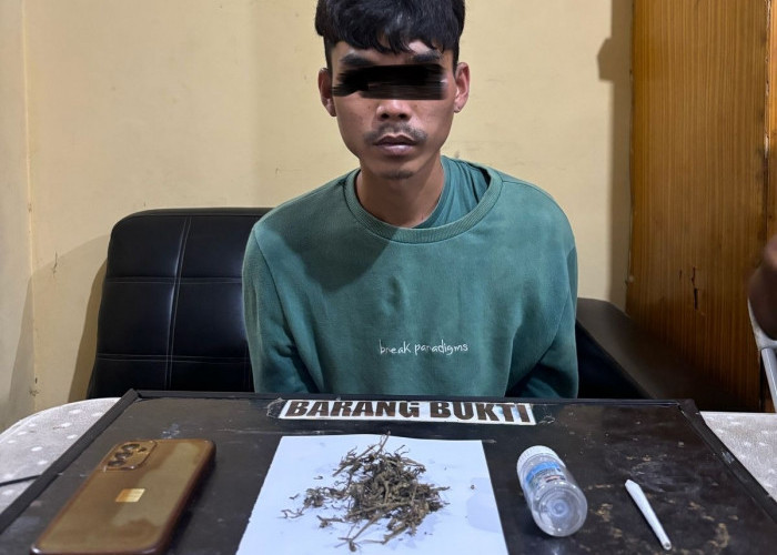 Tak Jera Dipenjara, Pria Bengkulu Kembali Ditangkap Bawa Ganja