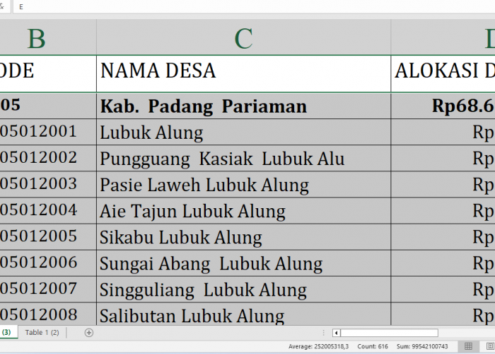 Berapa Dana Desa untuk Desa di Padang Pariaman Tahun 2025? Rp102,9 Miliar, Berikut Rincian Lengkapnya