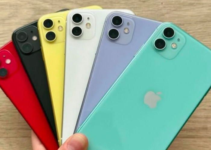 iPhone 11 di Tahun 2025 Masih Worth It? Cek Spesifikasi & Harga Second Terbarunya di Sini