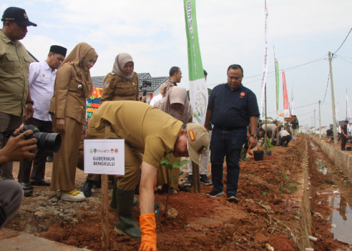 Kejati Bersama REI Provinsi Bengkulu Tanam 1.000 Pohon Buah, Memperingati Hari Bhakti Adhyaksa ke-63