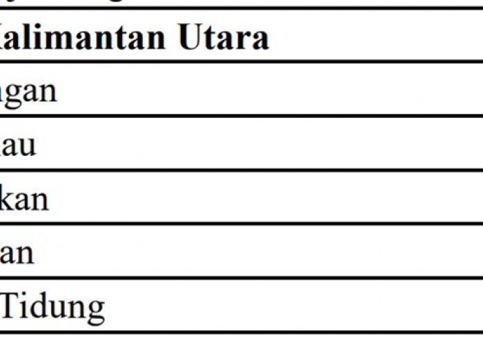 Ini Dia Anggaran Dana Proyek Jalan Tahun 2024 di Provinsi Kalimantan Utara: Rincian per Daerah