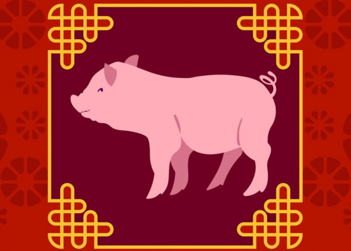 Horoskop Shio Babi Tahun 2025: Ramalan Bulanan di Tahun Ular Kayu