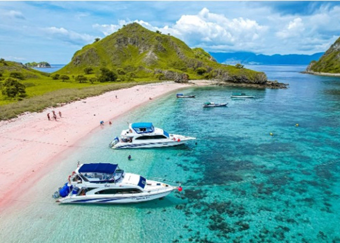 Masuk Salah Satu Pantai Pink Dunia, Pink Beach Labuhan Bajo Instagramable