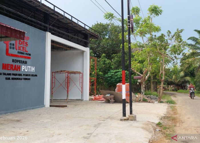 370 Gerai Koperasi Merah Putih Bengkulu Rampung, Siap Jadi Pusat Ekonomi Desa Bukan Sekadar Toko