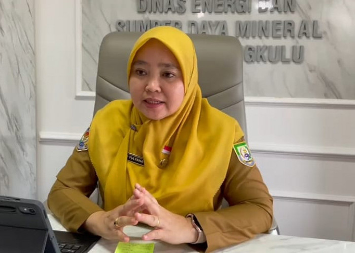 Pemprov Bengkulu Pastikan Stok Biosolar Aman, Antrean SPBU Dipicu Lonjakan Konsumen