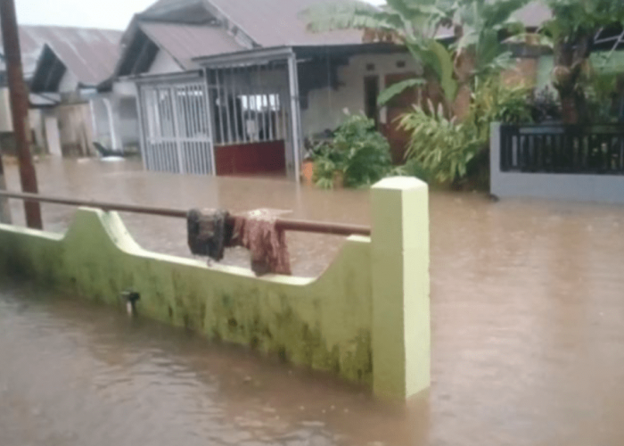BPBD Catat Ada 24 Lokasi di Kota Bengkulu Terendam Banjir, Ini Sebarannya