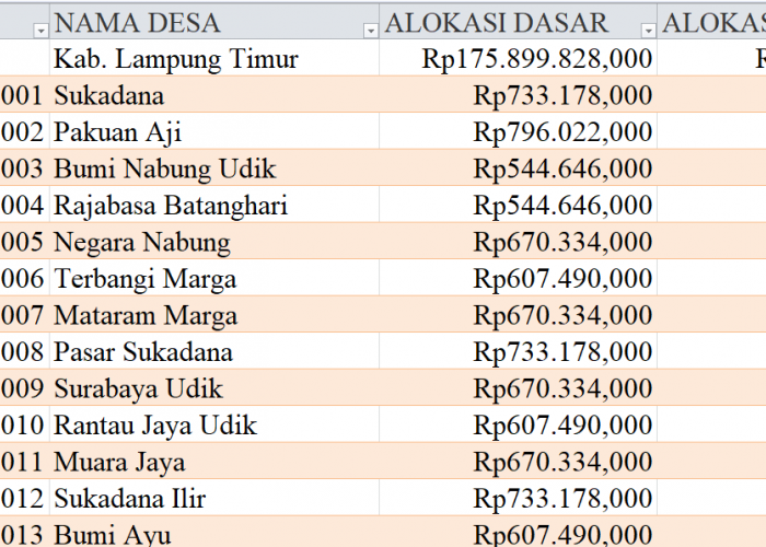 Tabel Rincian Dana Desa 2024 Kabupaten Lampung Timur, Lampung: Ini Lengkapnya