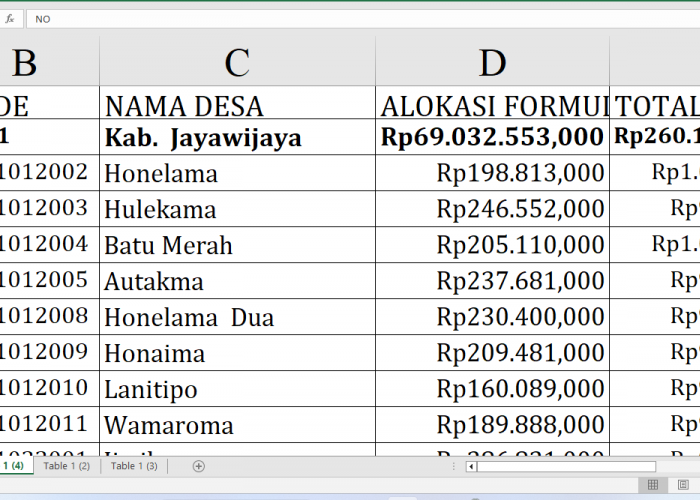 Dana Desa 2025 Capai Rp260,1 Miliar: Kado Istimewa untuk Desa di Jayawijaya, untuk Desa A-M