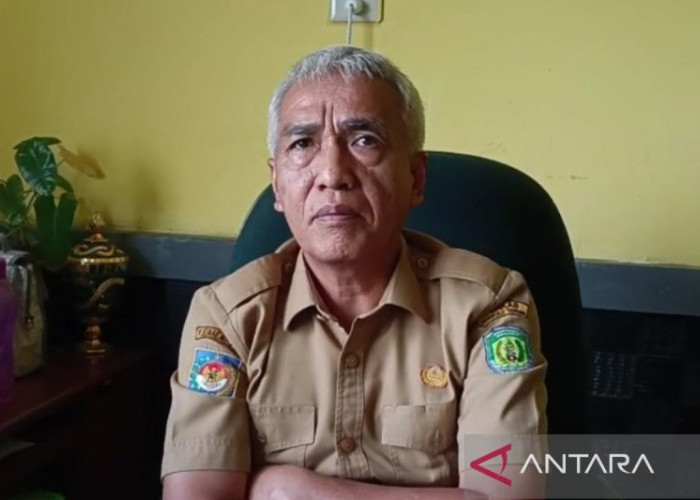 Bengkulu Tengah Dapat Kuota Bibit Kopi 500 Hektare, Petani Diminta Segera Mengusulkan