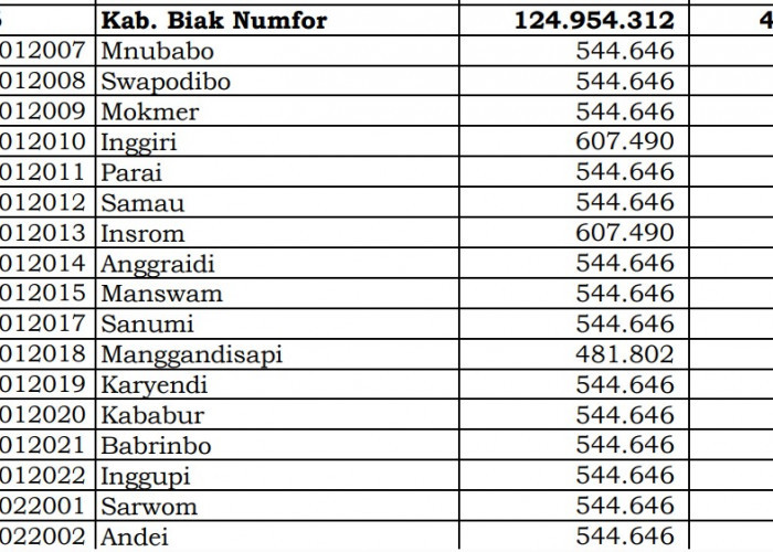 Rincian Dana Desa 2024 Biak Numfor Papua Bagian 1: di Sini Lengkapnya