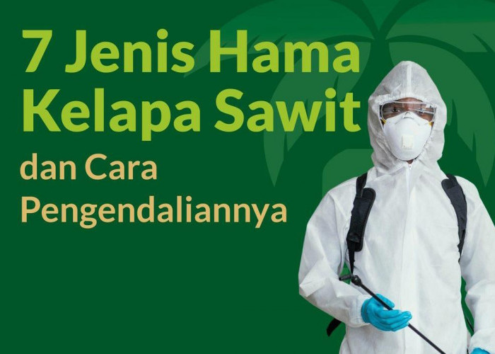 Mengenal 7 Jenis Hama Kelapa Sawit dan Cara Pengendaliannya