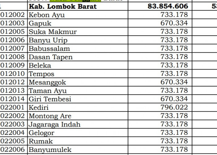 Berapa Rincian Dana Desa 2024 Lombok Barat, NTB? Cek Jawabannya di Sini
