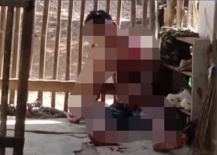 Duel Berdarah di Desa Talang Empat, Ayah Tikam Anak Tiri Hingga Tewas