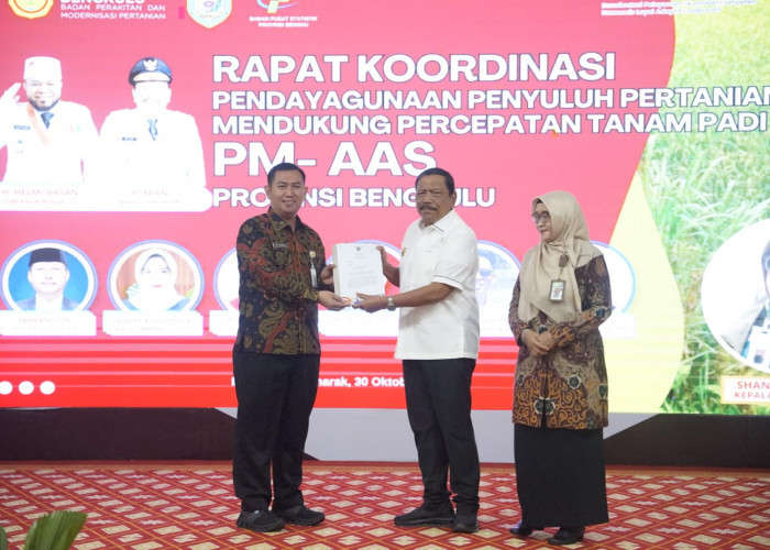 NTP Bengkulu Tertinggi Nasional Capai 206,79, Karet dan Sawit Jadi Penopang