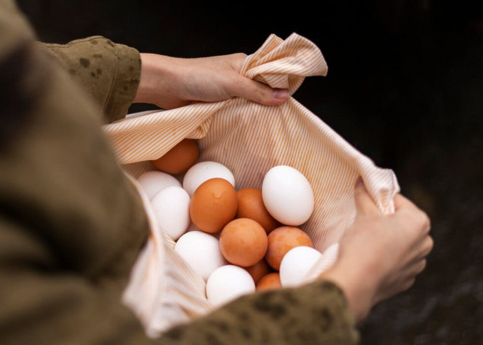 Telur Ayam Kampung VS Telur Ayam Negeri, Kenali Perbedaan dari Kedua Jenis Telur Ini