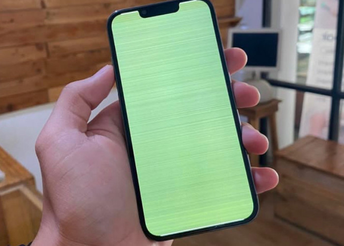 Iphone Mengalami Green Screen? Ternyata Ini Penyebab dan Cara Mengatasinya