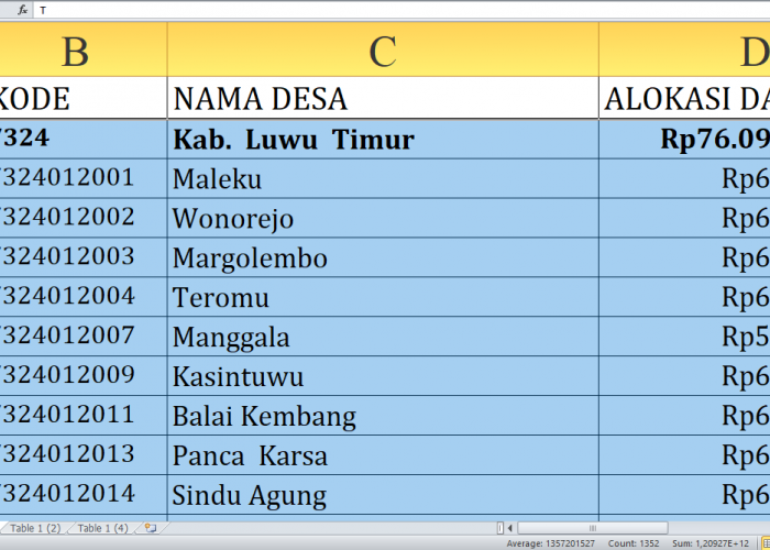 Detail per Desa, Rincian Dana Desa 2025 Luwu Timur Provinsi Sulawesi Selatan Rp112,9 miliar: Ini Terbesar