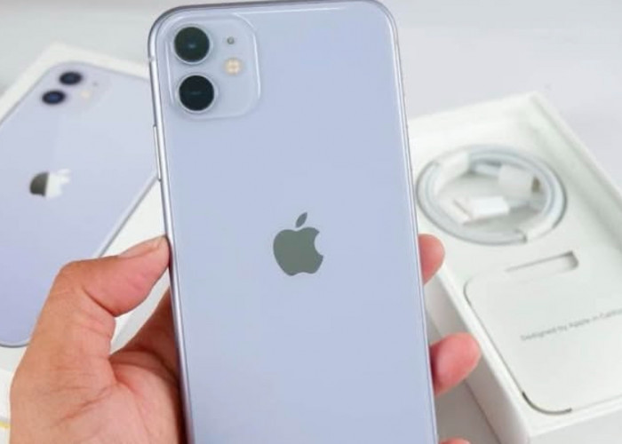 Kapan iPhone 11 Akan Berhenti Bisa Update? Simak Penjelasan Lengkapnya!