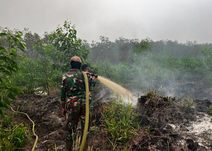 Kekeringan Berdampak pada 267.913 Jiwa, BNPB Salurkan 3 Juta Liter Air Bersih
