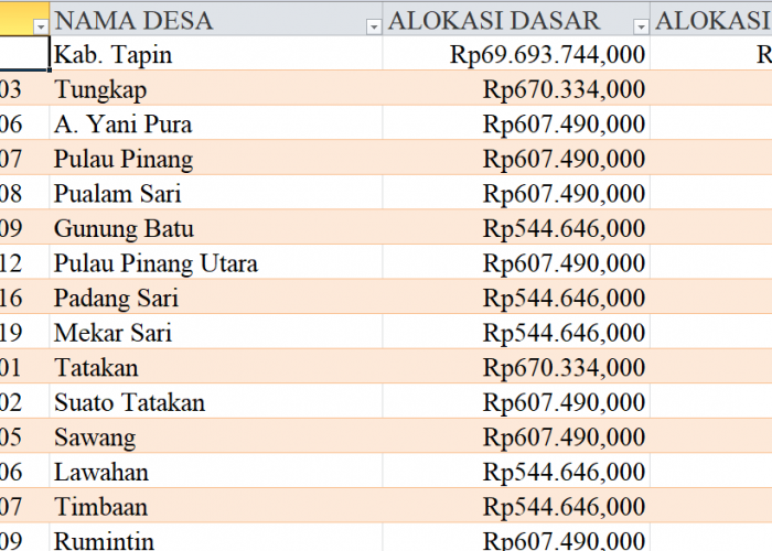 Tabel Rincian Dana Desa 2024 Kabupaten Tapin, Kalimantan Selatan: Ini Lengkapnya