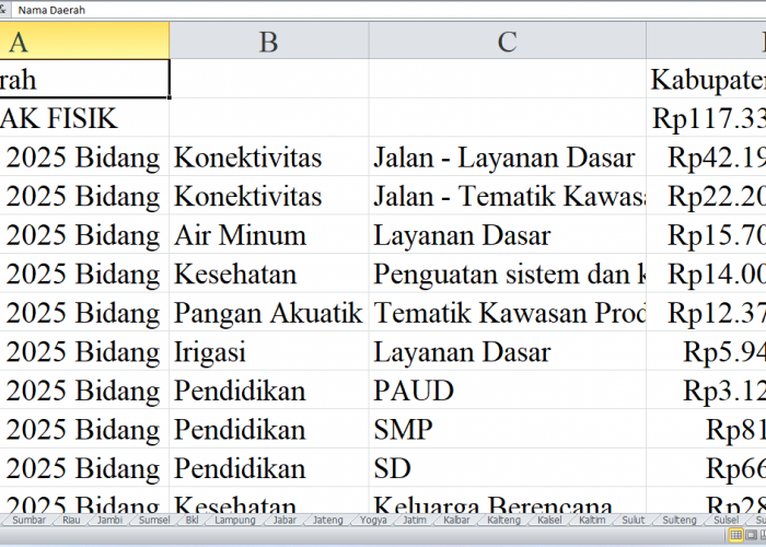 Rincian Pagu Dana DAK Fisik 2025 untuk Aceh: Kabupaten Aceh Utara, Bireuen, Bener Meriah, dan Aceh Barat