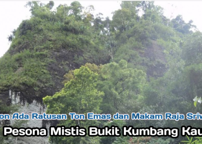 Konon Ada Ratusan Ton Emas, Jejak Kerajaan Sriwijaya di Bukit Kumbang Kabupaten Kaur 