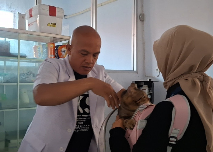 Disnakeswan Bengkulu Ajak Warga Vaksinasi Hewan Peliharaan, Gratis hingga 1.000 Dosis Habis