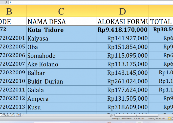 Rincian Lengkap Dana Desa 2025: Tidore Kepulauan Provinsi Maluku Utara Dapat Jatah Rp38,5 Miliar!