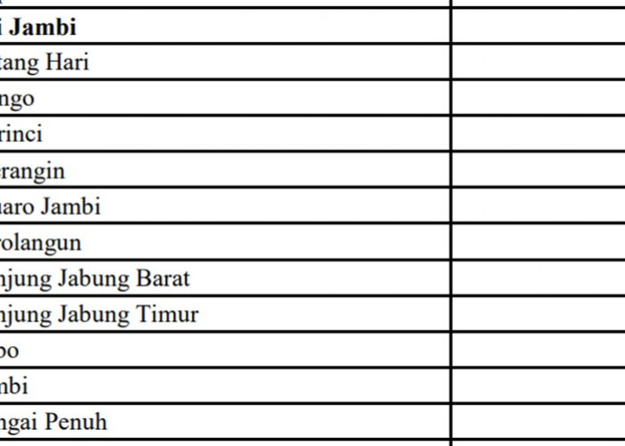 Asyik! Jatah BOK Puskesmas di Jambi 163 Miliar: KB 50 Miliar