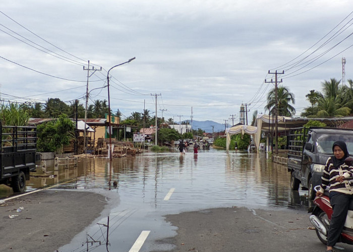 Update Data Banjir Bengkulu:  10.868 Jiwa Terdampak, Pendataan Masih Berjalan