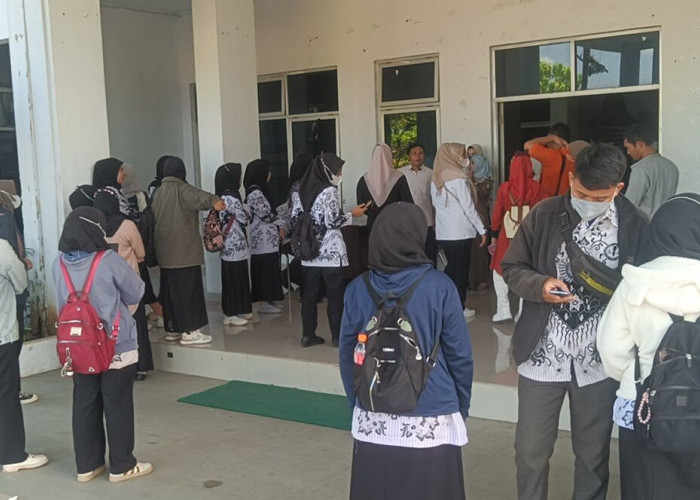 Ancaman Pembatalan PPPK Tahap II, THLT Seluma Siap Gelar Aksi Damai
