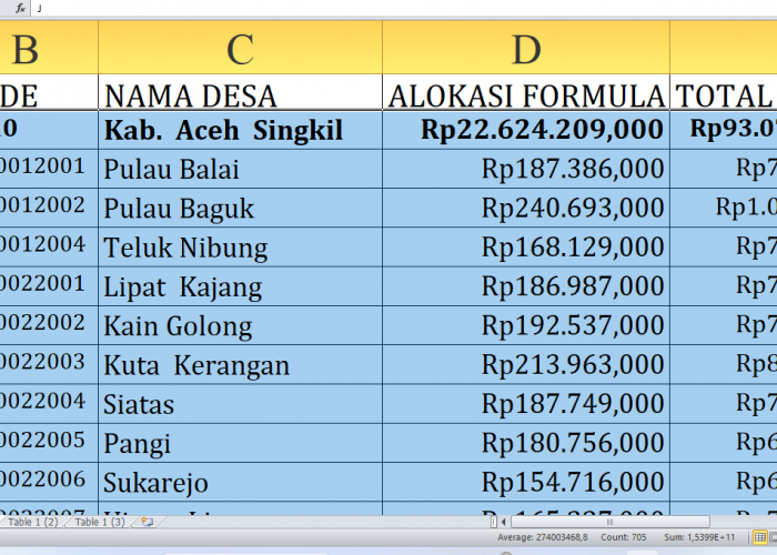 Dana Desa 2025 Aceh Singkil Provinsi Aceh: Simak Desa-Desa dengan Alokasi Tertinggi