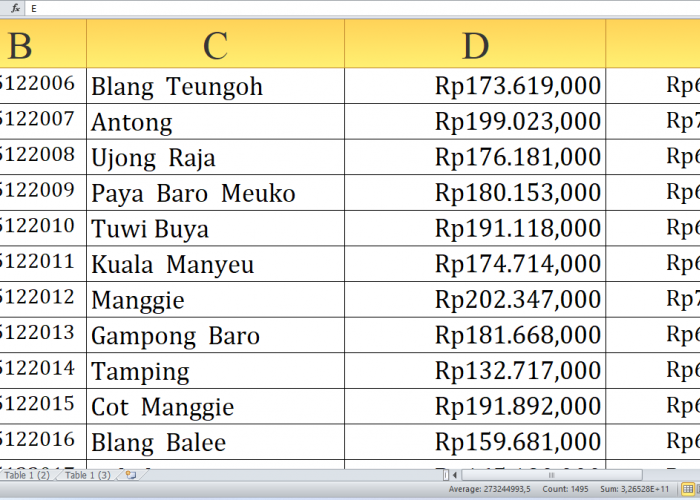 Untuk Desa M-U, Dana Desa 2025 Capai Rp226,3 Miliar: Kado Istimewa untuk Desa di Aceh Barat