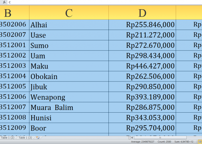 Rp437,4 Miliar Dana Desa 2025 untuk Yahukimo Provinsi Papua Pegunungan, Simak untuk Desa S-Y: