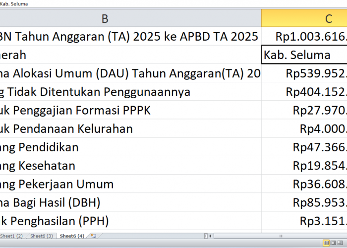 Dana Rp1 triliun dari APBN 2025 ke APBD Seluma: Berapa untuk Proyek Fisik?