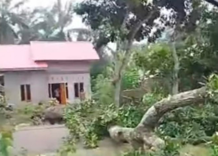 Antisipasi Bencana, Pemkab Mukomuko Sosialisasikan Dokumen Mitigasi Gempa dan Tsunami