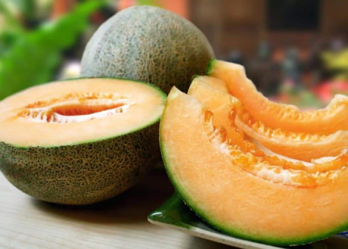 FANTASTIS, Ada Buah Melon Termahal Rp374,5 Juta, Berikut 9 Manfaat Konsumsinya