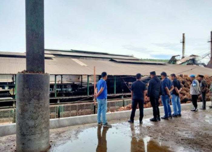 Kecelakaan Kerja Tragis, Pegawai PT APLS Tewas Tertimpa TBS Sawit di Kaur