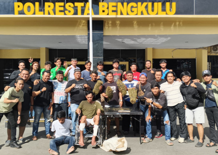 Dramatis! DPO Curanmor Tabrak Mobil Polisi dan Todongkan Senpi, Diringkus Bersama 4 Kg Ganja