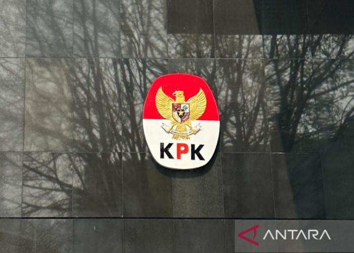 KPK Buka Penyidikan Baru Dugaan Gratifikasi Pemkot Bengkulu, Anggota DPRD VLA Dipanggil