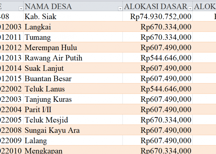 Tabel Rincian Dana Desa 2024 Kabupaten Siak, Lampung: Ini Lengkapnya