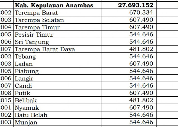 Berapa Rincian Dana Desa 2024 Kepulauan Anambas, Kepri? Cek Jawabannya di Sini