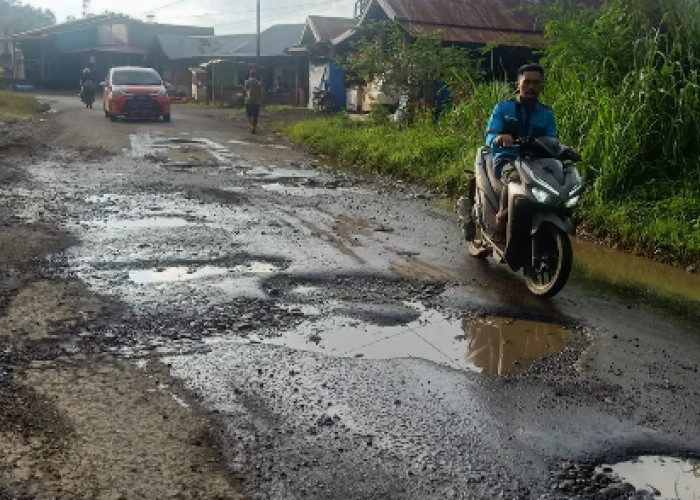 Jalan di Lebong Banyak Berlubang, Peran Dewan Provinsi Bengkulu dan Wagub Dipertanyakan