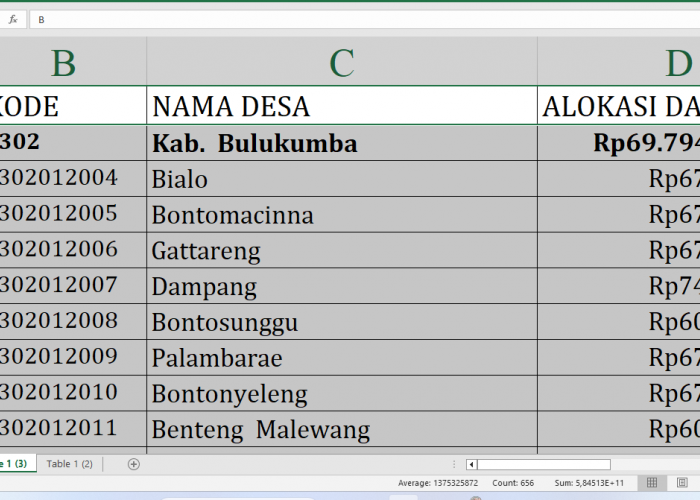Rincian Dana Desa 2025 Bulukumba Sulawesi Selatan Rp100,8 Miliar: Detail Lengkap di Sini