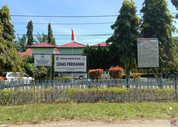 Asuransi Nelayan Mukomuko, 1.539 Orang Sudah Terdaftar BPJS Ketenagakerjaan