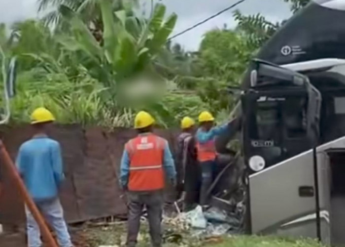 Bus SAN Rute Pekanbaru–Bengkulu Kecelakaan di Sarolangun, 52 Penumpang Selamat