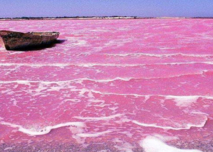 Danau Merah Muda di Senegal dengan Kadar Garam Tinggi, Berikut Fakta Uniknya!