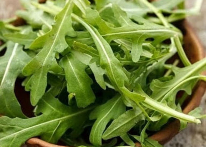 10 Manfaat Sayuran Arugula untuk Kesehatan, Salah Satunya Menurunkan Risiko Kanker