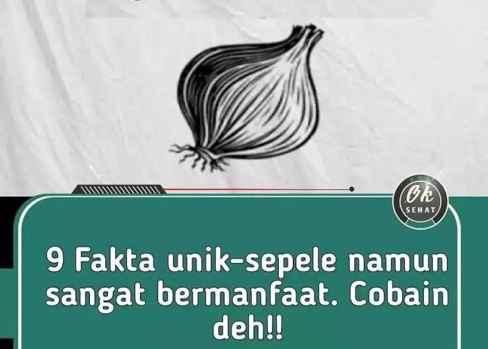 9 Fakta Menarik dan Unik untuk Menghilangkan Rasa Gatal dan Meningkatkan Kesehatan